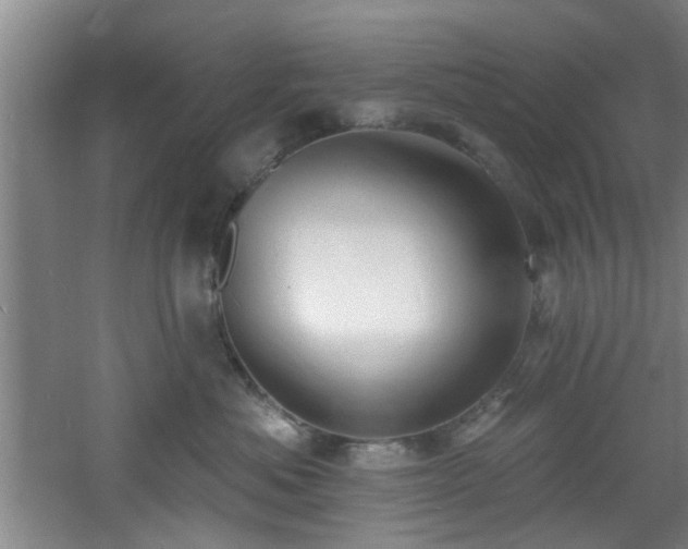 X0000060810525200511101456