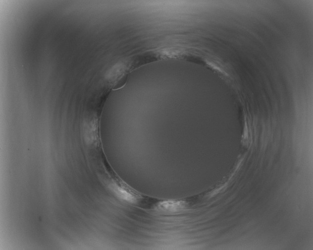 X0000060810526200511101456