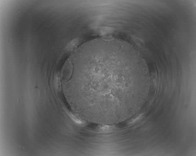 X0000060810527200511101456