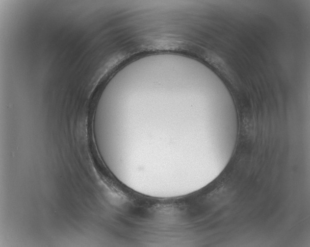 X0000060810534200511101455