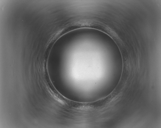 X0000060810537200511101455