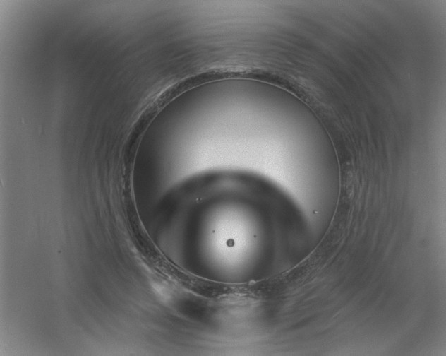 X0000060810544200511101455