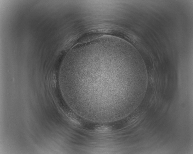 X0000060810551200511101456