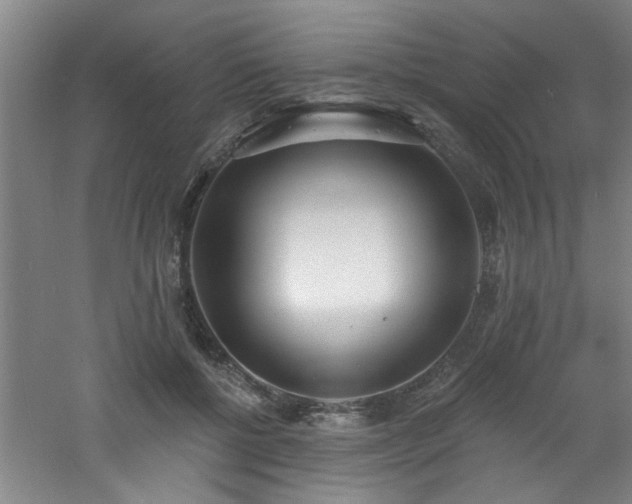 X0000060810552200511101456