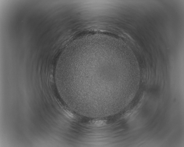 X0000060810553200511101456