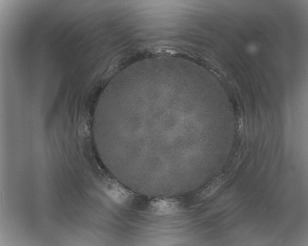 X0000060810561200511101456