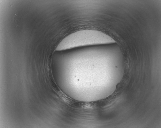 X0000060810565200511101456