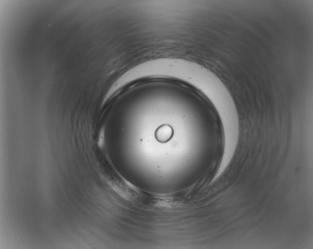 X0000060810568200511101456