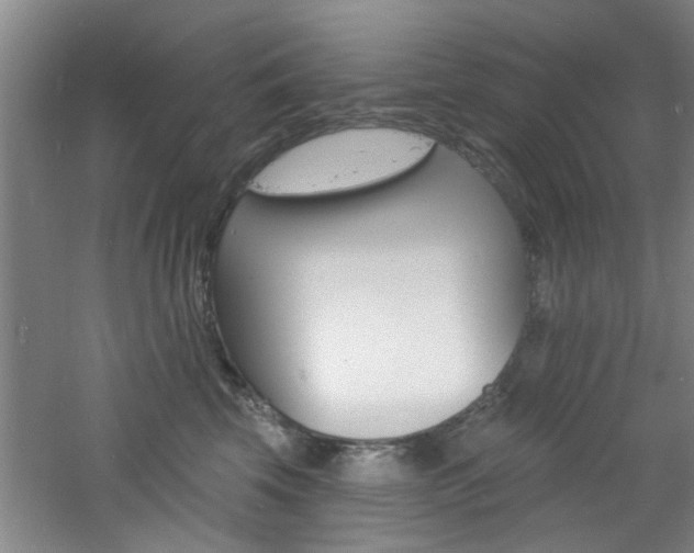 X0000060810569200511101456