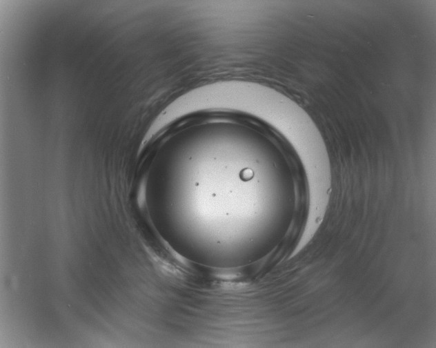 X0000060810570200511101456