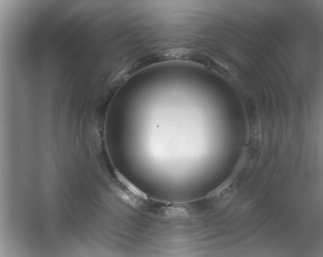 X0000060810572200511101456