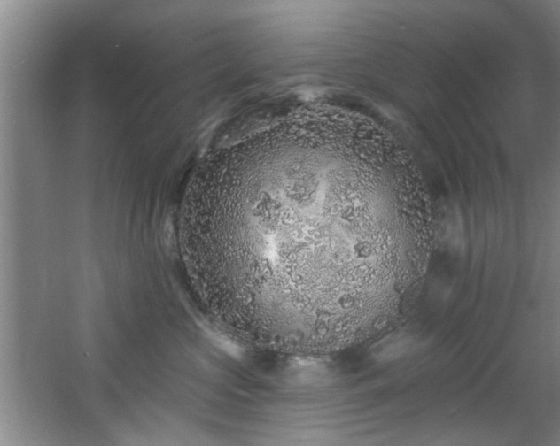 X0000060810573200511101456