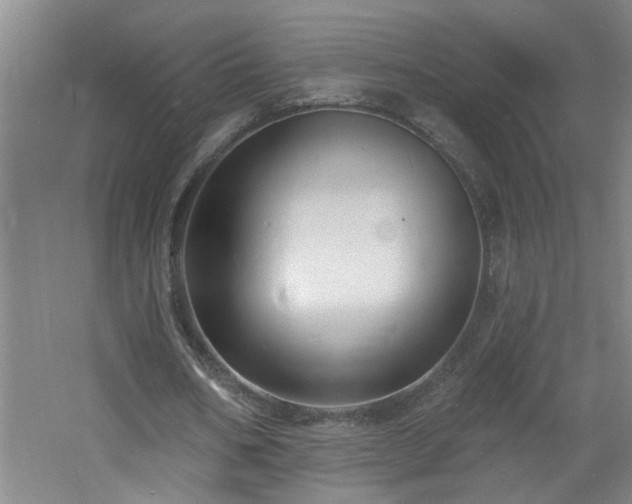 X0000060810578200511101455