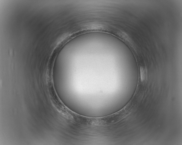 X0000060810579200511101455