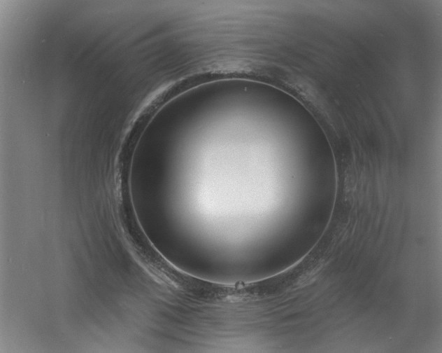 X0000060810584200511101455