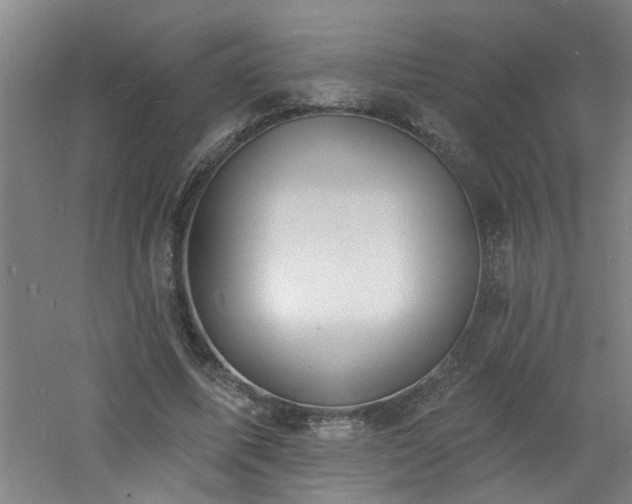 X0000060810587200511101455