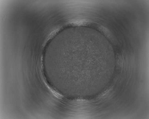 X0000060810590200511101455