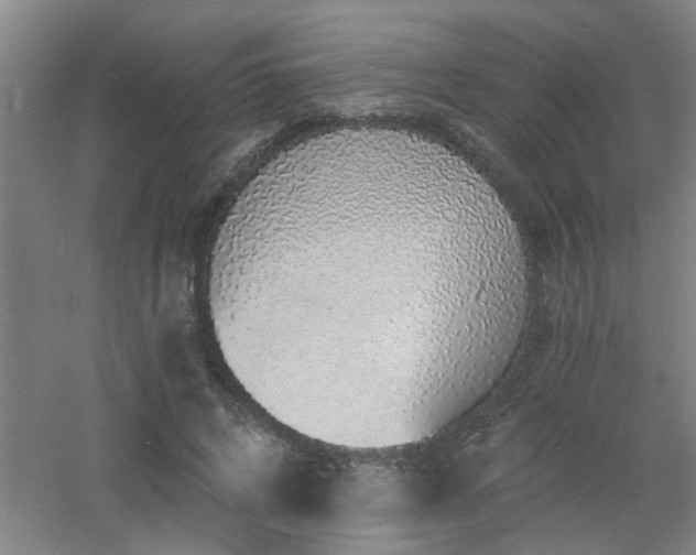 X0000060810592200511101455