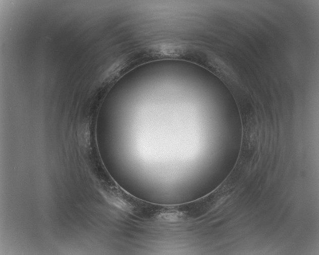 X0000060810595200511101455