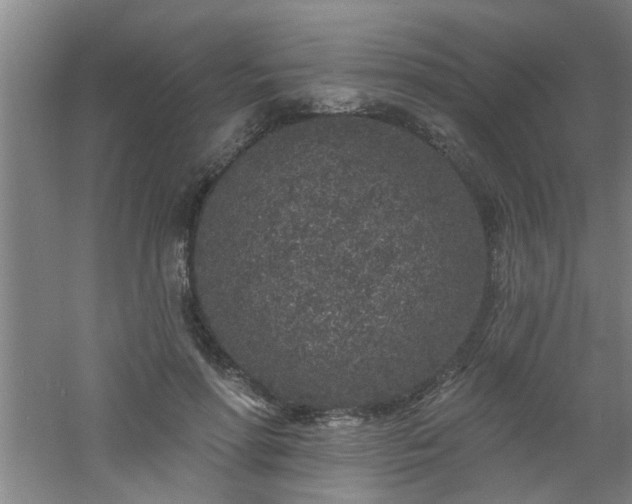 X0000060810598200511101455