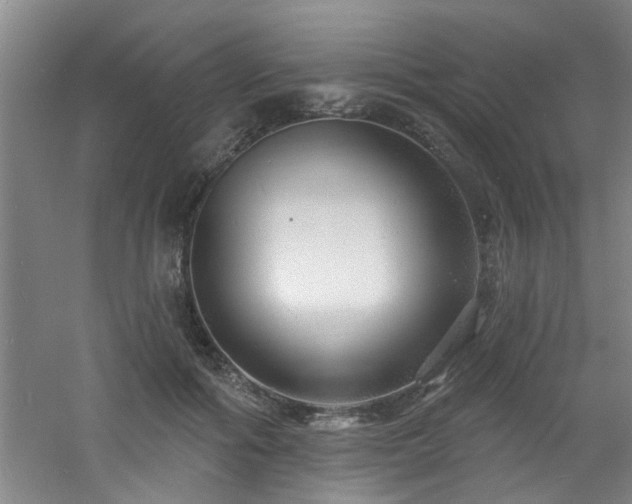 X0000060810602200511101455