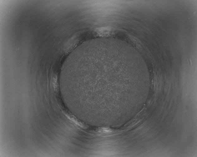 X0000060810610200511101455