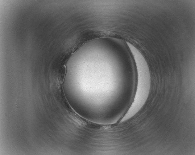 X0000060810613200511101455