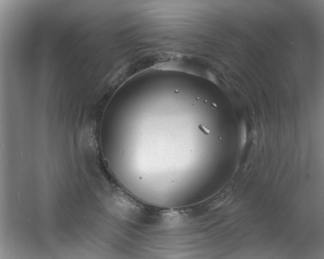 X0000060810616200511101454