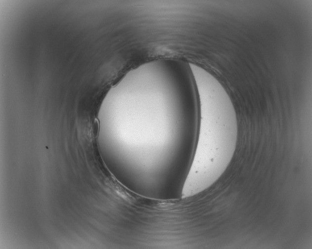 X0000060810617200511101454