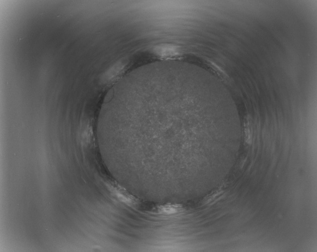 X0000060810618200511101454