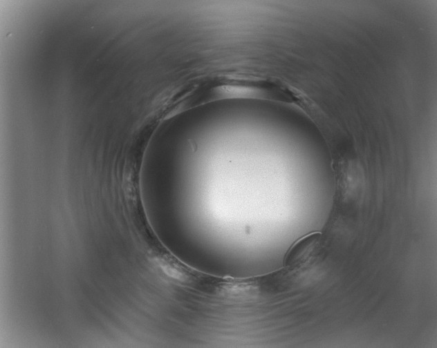 X0000060810619200511101454