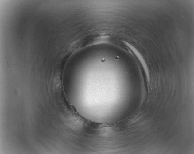 X0000060810620200511101454