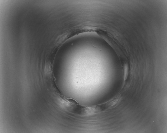 X0000060810623200511101454