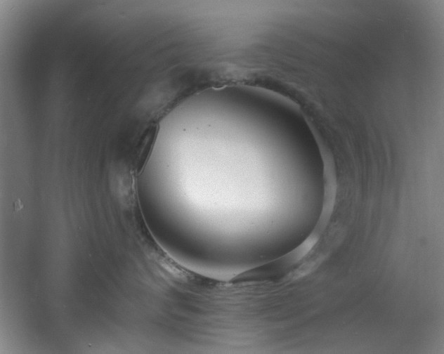 X0000060810624200511101454