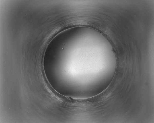 X0000060810625200511101454