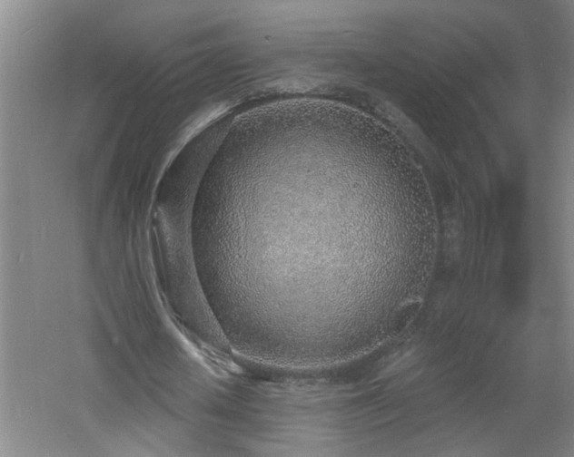 X0000060810626200511101454