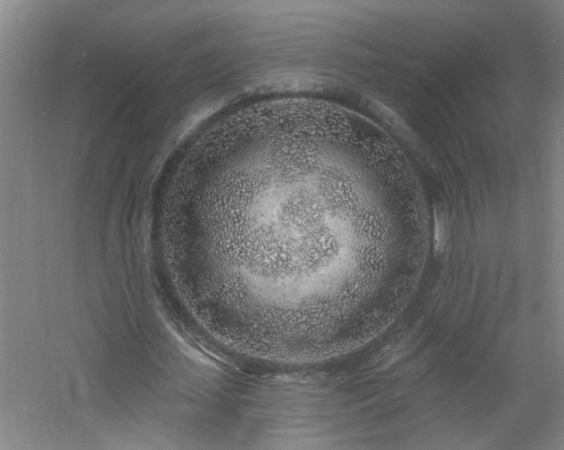 X0000060810627200511101454