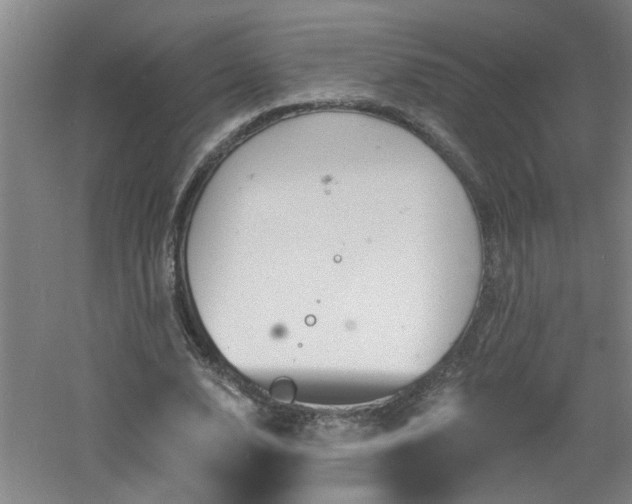 X0000060810632200511101454