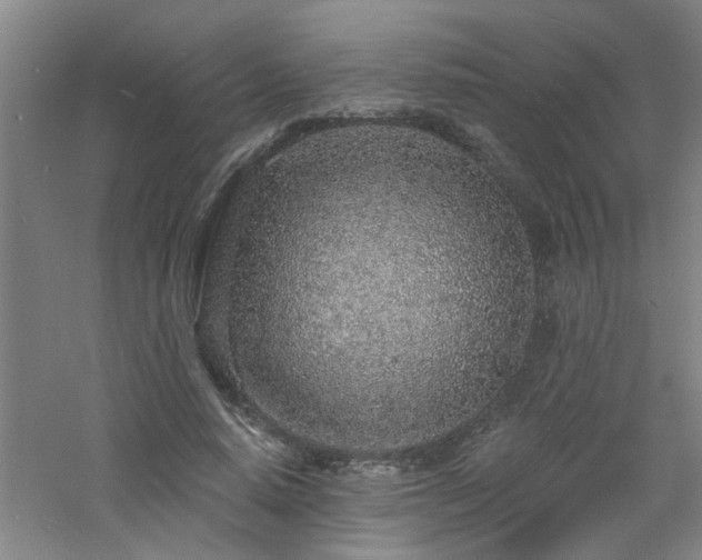 X0000060810640200511101454