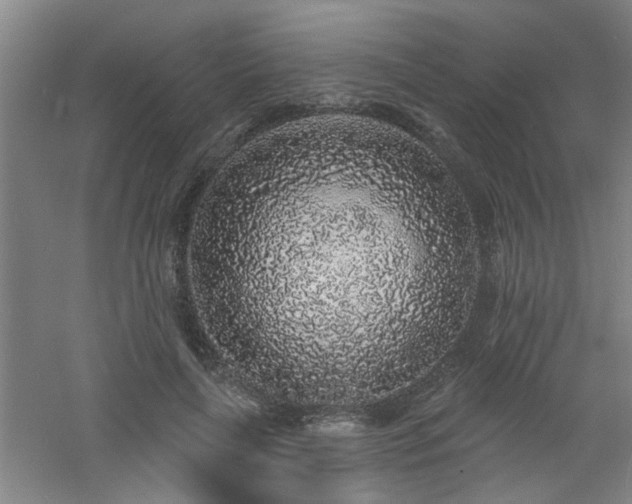 X0000060810643200511101454