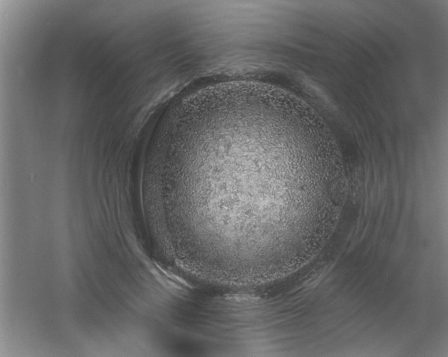 X0000060810644200511101454