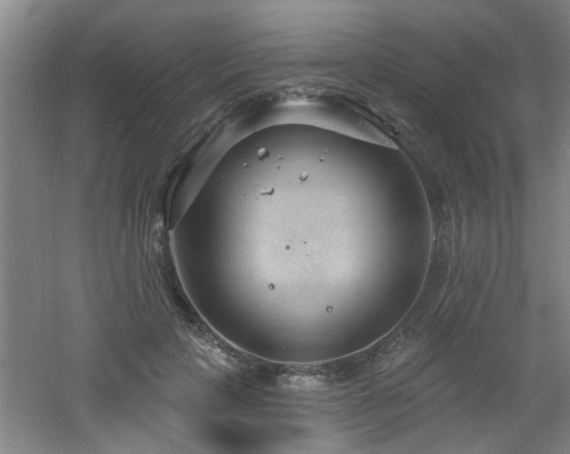 X0000060810649200511101454