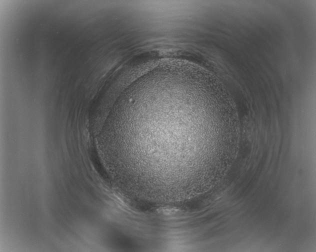 X0000060810650200511101454