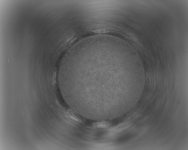 X0000060810652200511101454