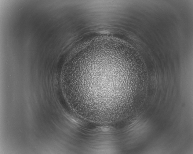 X0000060810654200511101454