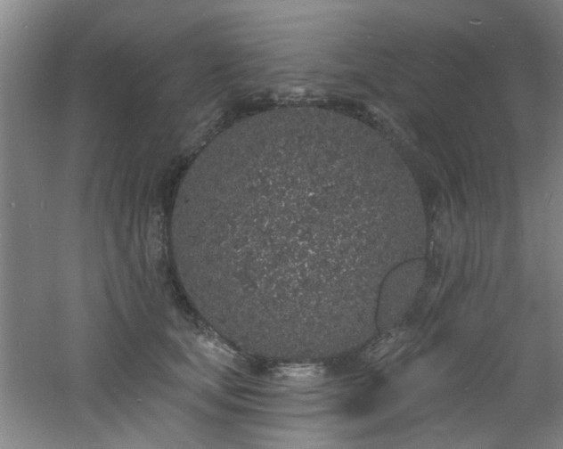 X0000060810659200511101454