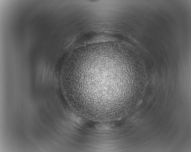 X0000060810661200511101454