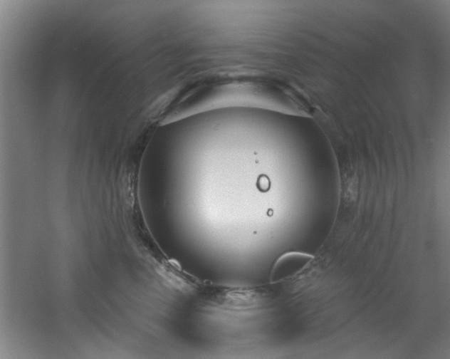 X0000060810666200511101454