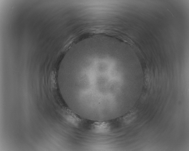 X0000060810667200511101454