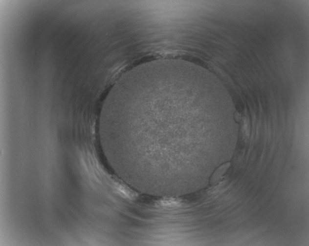 X0000060810668200511101454